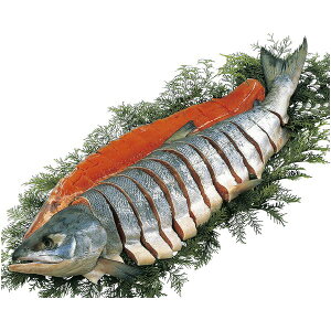 Ε  CN  CY Mtg kC YY VR V p؂g 1.8`2.2kg Zbg lߍ킹    O Hi Ⓚ Ε 2025 ΕMtg 蕨 