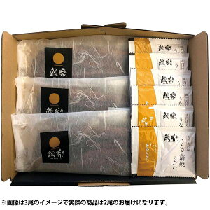 Ε  y  Mtg BY Ȃ   2 Zbg lߍ킹 Vy Y V EiM ^pbN  O Hi Hו Ⓚ Ε 2025 ΕMtg 蕨 