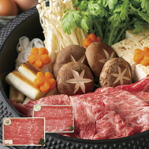 Ε  _ˋ _˃r[t  a Mtg Ă  [X e200g Zbg lߍ킹 Ԑg ~  ₫ 痿   O Hi ~Mtg 2025 蕨 