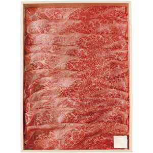 Ε   a Mtg A5N  R`  ~XW Ă Ԃԗp 700g Zbg lߍ킹 ~  O Hi Hו Ⓚ Ε ~Mtg 2025 蕨