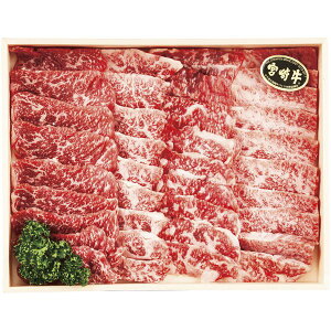 Ε  {苍  a Mtg Jr ēp 600g Zbg lߍ킹 Ă o[xL[ ~ ґ  O Hi Hו Ⓚ Ε 2025 蕨 Ԃ ~Mtg 