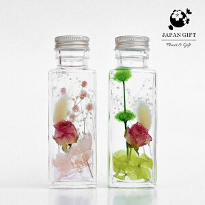 _őSz|CgҌ^ n[oE ~j[Y(pr) 2J[ ϗtA CeA v[g G vU[uht[  hCt[ybsOEJ[hEMtgΉs