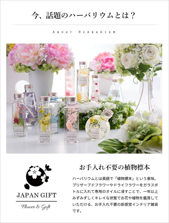 楽天市場 ハーバリウム あじさい かすみ草 ブルー スタッグ瓶 観葉植物 インテリア 雑貨 プリザーブドフラワー 花 ドライフラワー 母の日 ラッピング カード等 ギフト対応不可 ジャパンギフト