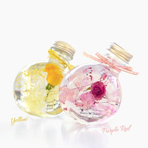 Honey Daisy n[oE T[NElRr v[g 100ml AWTCEݑE~jo CeA G vU[uht[  hCt[ ybsOEJ[hEMtgΉs