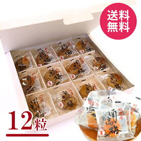 【メール便 送料無料】出産 内祝い お返し 紀州南高梅 12粒入り 梅干し はちみつ ギフト 結婚内祝い 引き出物 出産内祝い 新築祝い 引越し 挨拶 快気祝い 香典返し お礼 父の日 プレゼント 父の日ギフト 食品 ギフトセット お取り寄せ お祝い返し 記念品 施設