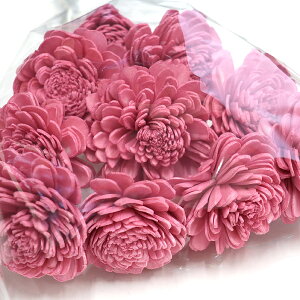 �y�󏭁I���Ԍ���̔� �h���C�t�����[�z��n�_�� �\�[���[���[�Y �� 1��(10�{��) �t�����{���[�Y �n�[�o���E�� �ԍ� �L�b�g �v���U�[�u�h�t�����[ ���X�I���W�i���y�ʒ� ���X�I���W�i���J��