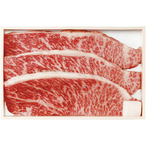 _őSz|CgҌ^ j Ԃ   a Ε Mtg A5N R` C`{Xe[L 540g Zbg lߍ킹 Hi ~Mtg oYj j j oY