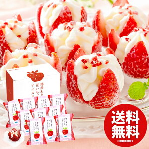 ACXN[ XC[c Ε Mtg j Ԃ  َq ܂ Ԃ̃ACX 10 Zbg lߍ킹 ~Mtg oYj j j oYj T