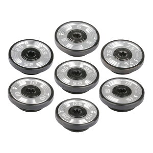 テーラーメイド TPリザーブ パター対応ウェイト 2個 TPトラス パター対応ウェイト GT MAX対応ウエイト