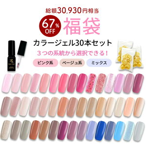 yʌ 2025܁z{gJ[WF30FZbg WFlC {g^Cv ϕio^