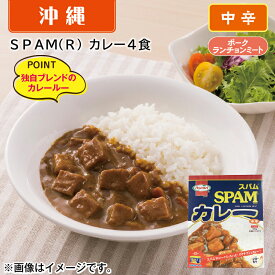 SPAM（R）カレー4食 ギフト プレゼント 贈答 お取り寄せ カレー (レビュー記入で300円OFFクーポン配布中)