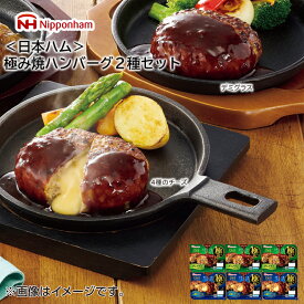 ＜日本ハム＞　極み焼ハンバーグ2種セット 送料込み ギフト プレゼント 贈答 お取り寄せ お土産 こどもの日 こどもの日 2024 (レビュー記入で300円OFFクーポン配布中)