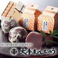 大手まんぢゅう 10個入 15個入 20個入 10個×2 （手提袋付） 送料込み ギフト プレゼント 贈答 お取り寄…