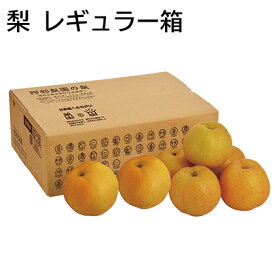 梨　レギュラー箱 ギフト プレゼント 贈答 お取り寄せ お土産 (レビュー記入で300円OFFクーポン配布中)