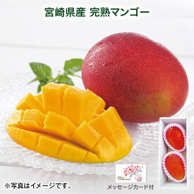 母の日 宮崎県産　完熟マンゴー 送料込み ギフト プレゼント 贈答 お取り寄せ お土産 (レビュー記入で300円OFFクーポン配布中)