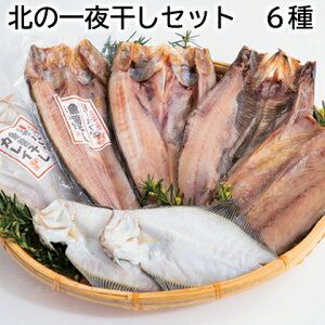 k̈銱Zbg 4 6  Mtg v[g   yY (r[L300~OFFN[|zz)