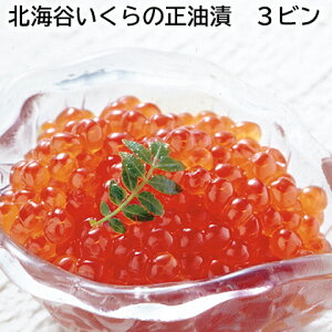 kCJ̐ 2r 3r  Mtg v[g   yY (r[L300~OFFN[|zz)
