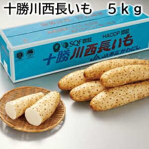 \쐼 2.5kg 5kg  Mtg v[g   yY (r[L300~OFFN[|zz)