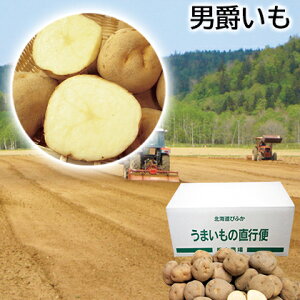 j݂  Mtg v[g   yY (r[L300~OFFN[|zz)