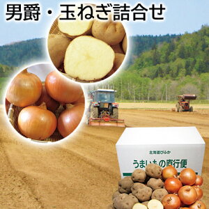 j݁Eʂ˂l  Mtg v[g   yY (r[L300~OFFN[|zz)