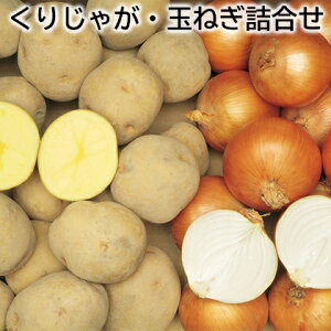 肶ႪEʂ˂l  Mtg v[g   yY (r[L300~OFFN[|zz)