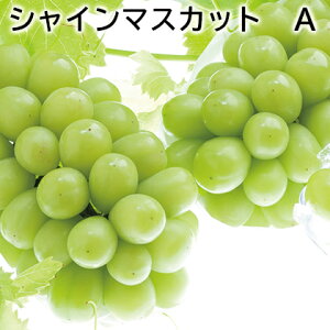 VC}XJbg@A  Mtg v[g   yY (r[L300~OFFN[|zz)