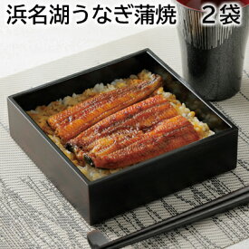 浜名湖うなぎ蒲焼 2袋 3袋 送料込み ギフト プレゼント 贈答 お取り寄せ お土産 (レビュー記入で300円OFFクーポン配布中)