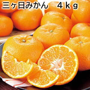 O݂ 3kg 4kg  Mtg v[g   yY (r[L300~OFFN[|zz)