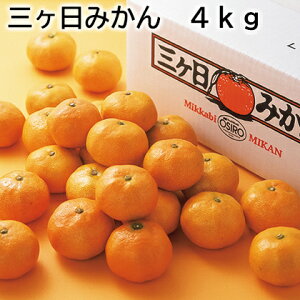 O݂ 2D5kg 4kg  Mtg v[g   yY (r[L300~OFFN[|zz)