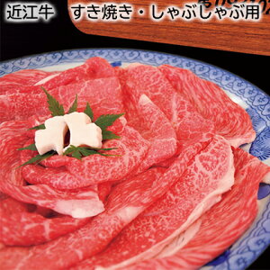 ߍ]@ĂEԂԗp  Mtg v[g   yY (r[L300~OFFN[|zz)