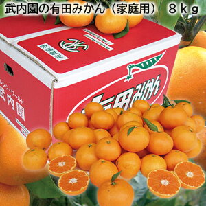 ̗Lc݂iƒpj@8kg  Mtg v[g   yY (r[L300~OFFN[|zz)