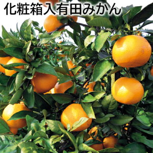 ϔLc݂  Mtg v[g   yY (r[L300~OFFN[|zz)