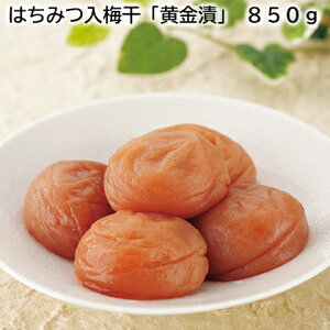 はちみつ入梅干「黄金漬」 250g 450g 850g 送料込み ギフト プレゼント 贈答 お取り寄せ お土産 (レビュー記入で300円OFFクーポン配布中)