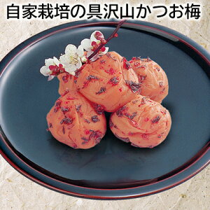 ƍ͔| ݂͂~ Д~ R~  Mtg v[g   yY (r[L300~OFFN[|zz)