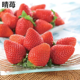 晴苺 450g（8〜15個） 400g（20〜24個） 送料込み ギフト プレゼント 贈答 お取り寄せ お土産 (レビュー記入で300円OFFクーポン配布中)