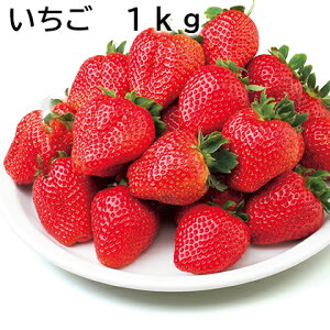  500g 1kg  Mtg v[g   yY (r[L300~OFFN[|zz)