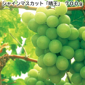 シャインマスカット「晴王」 700g 送料込み ギフト プレゼント 贈答 お取り寄せ お土産 (レビュー記入で300円OFFクーポン配布中)