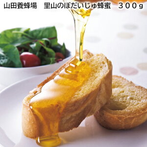 Rc{I SԖI 300g ڂI 300g  Mtg v[g   yY (r[L300~OFFN[|zz)