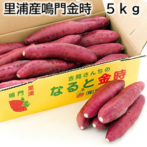 YY 3kg 5kg  Mtg v[g   yY (r[L300~OFFN[|zz)