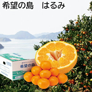 ]̓@͂  Mtg v[g   yY (r[L300~OFFN[|zz)