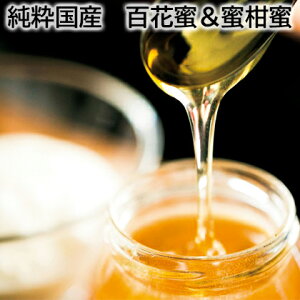 Y SԖ SԖ  Mtg v[g   yY (r[L300~OFFN[|zz)