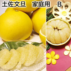 yU p ƒp A ƒp B  Mtg v[g   yY (r[L300~OFFN[|zz)