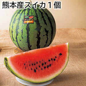 熊本産スイカ1個 送料込み ギフト プレゼント 贈答 お取り寄せ お土産 (レビュー記入で300円OFFクーポン配布中)
