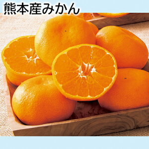 F{Y݂  Mtg v[g   yY (r[L300~OFFN[|zz)