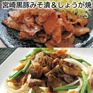 {荕؂݂Ё傤  Mtg v[g   yY (r[L300~OFFN[|zz)