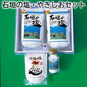 Ί_̉ Zbg ₫Zbg  Mtg v[g   yY (r[L300~OFFN[|zz)