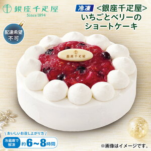 NX}X yⓀzDƃx[̃V[gP[L  Mtg v[g   yY (r[L300~OFFN[|zz)