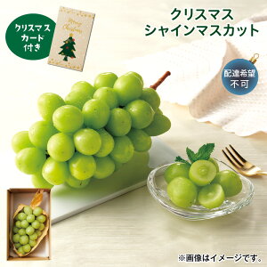 NX}X NX}XVC}XJbg  Mtg v[g   yY (r[L300~OFFN[|zz)