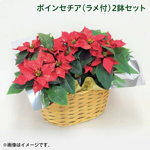 NX}X |CZ`Aitj2Zbg  Mtg v[g   yY (r[L300~OFFN[|zz)