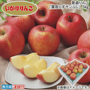 お歳暮 冬ギフト 青森りんご「葉取らずサンふじ」 3kg 5kg 送料込み ギフト プレゼント 贈答 お取り寄せ お土産 (レビュー記入で300円OFFクーポン配布中)